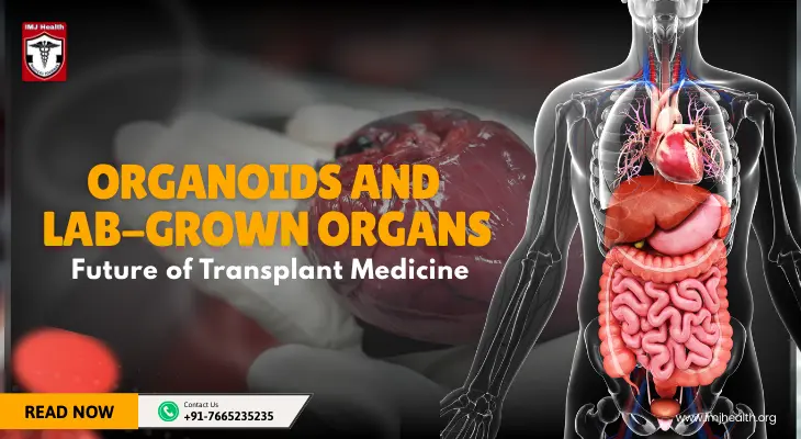 Organoids and Lab-Grown Organs: Future of Transplant Medicine